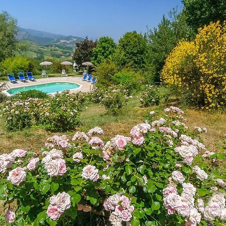 Holiday home Holiday Rondine 06